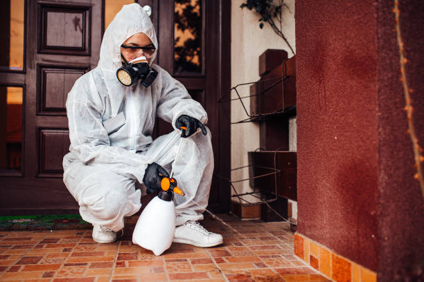 Reliable Wasp Removal contractor in Wolfdale, PA by Show Me Pest Control